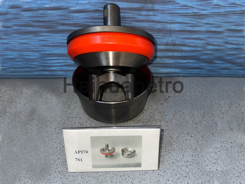 API7#7S1 Valve Body Seat